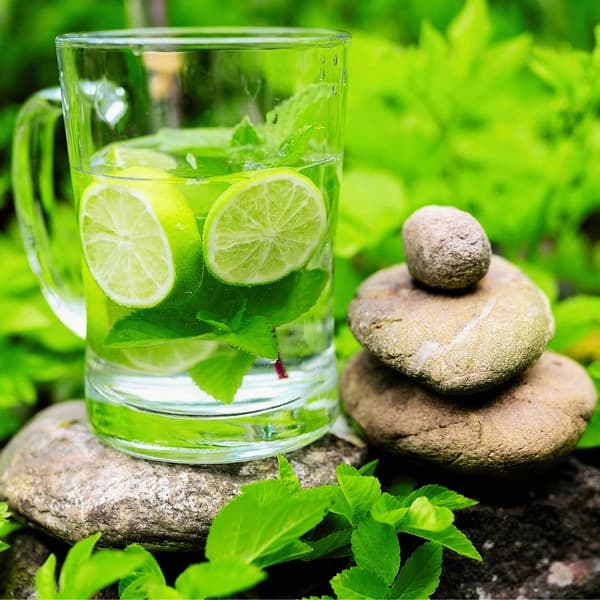 Detox og ayurveda